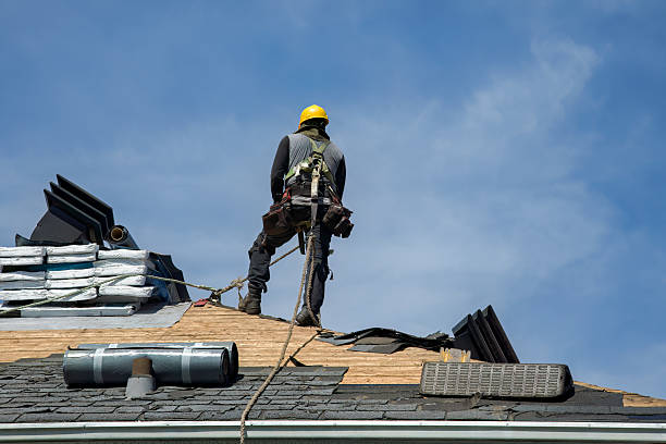 Professional Storm Damage Roof Repair technician working in Ewing, KY